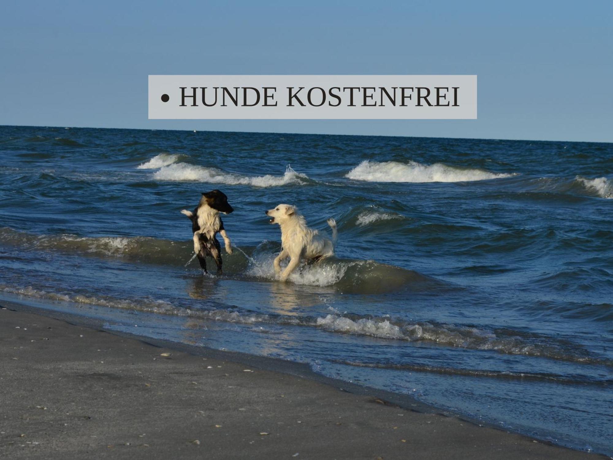 Haus Krabbe Apartments, Zentral Gelegen Im Idyllischen Nordseeort Zwischen Bremerhaven Und Cuxhaven, Hunde Kostenfrei Willkommen, Hauseigene Kostenfreie Parkplaetze Wremen Ngoại thất bức ảnh